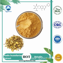 Natural Radix Scutellariae Extract Powder 98% Baicalin